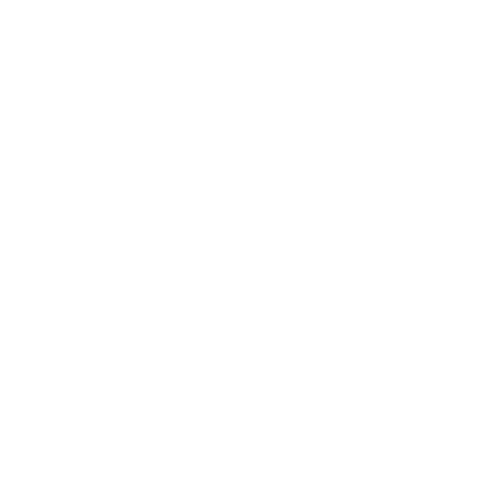 bao-café-l-mejor-café-café-mexicano-café-de-veracruz